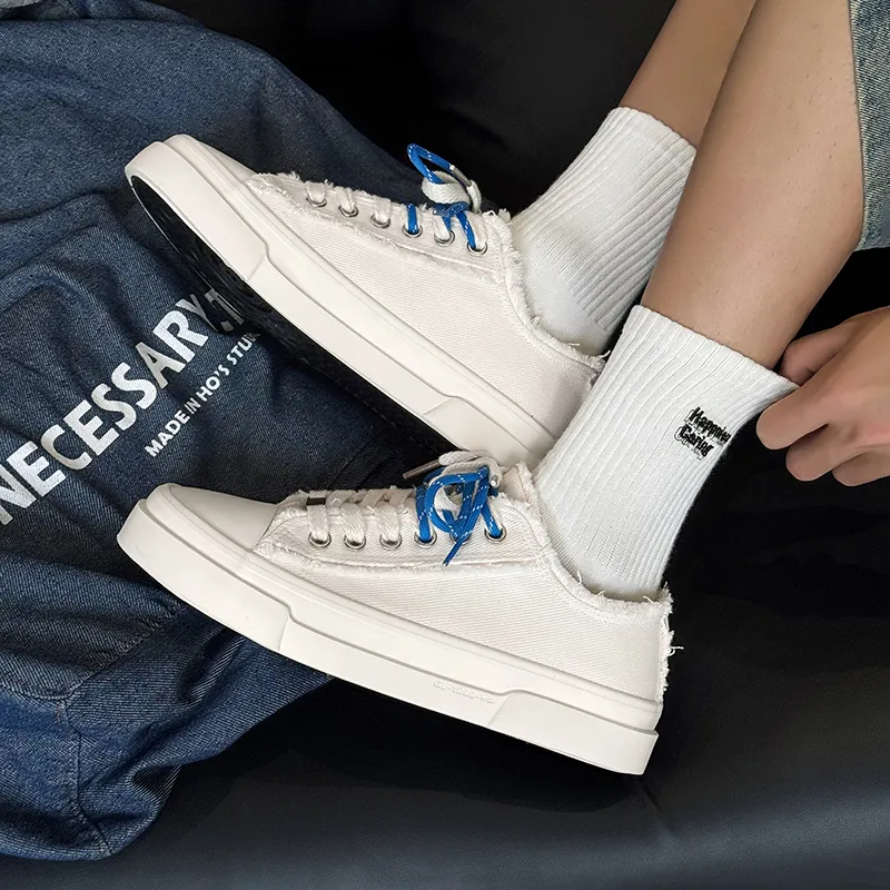 HACKBUTEER Low Top Canvas Shoes Men's Box Included-11