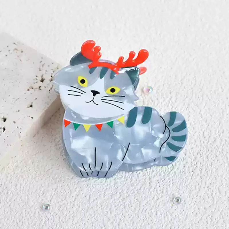 ZANC Acrylic Hair Clips Women's-8