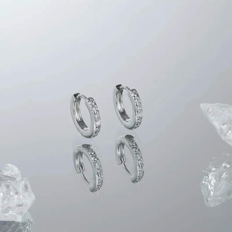 ZANC S925 Silver Stud Earrings Women's-4