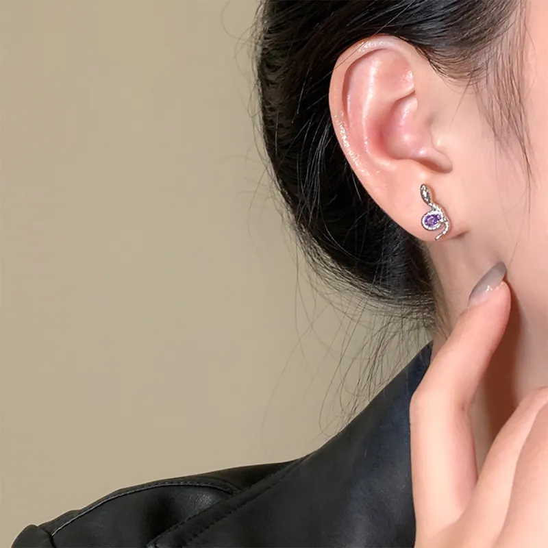 ZANC Titanium Steel Stud Earrings Women's-6