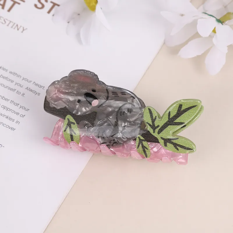 ZANC Acrylic Hair Clips Women's-5