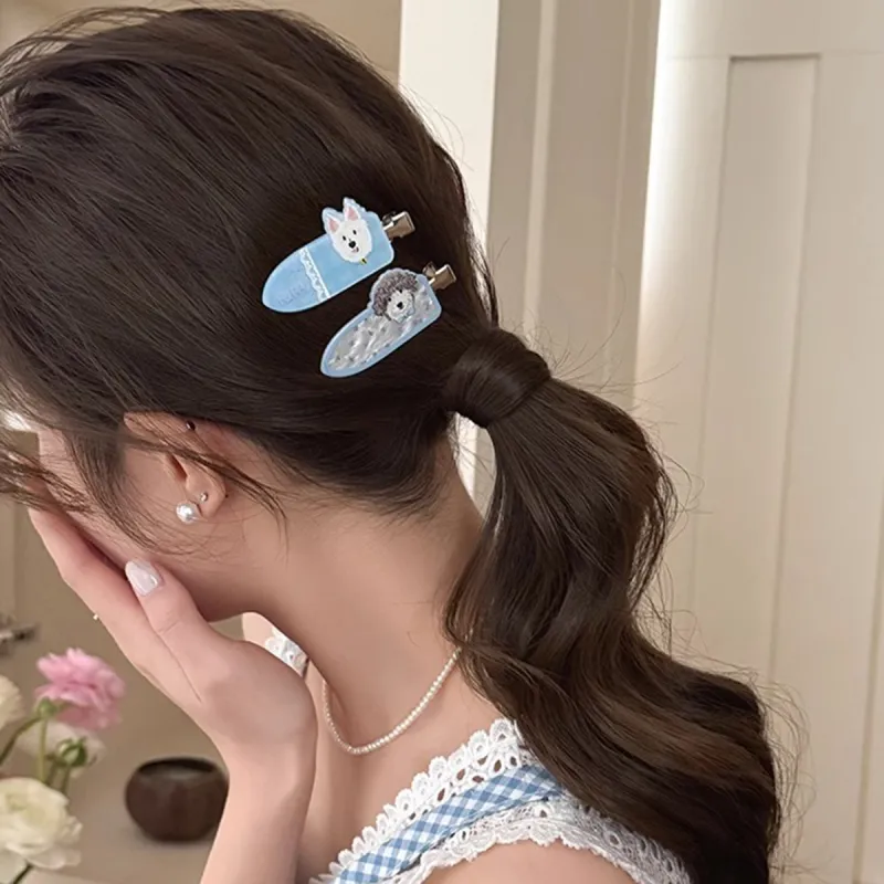 ZANC Acrylic Hair Clips Women's-11