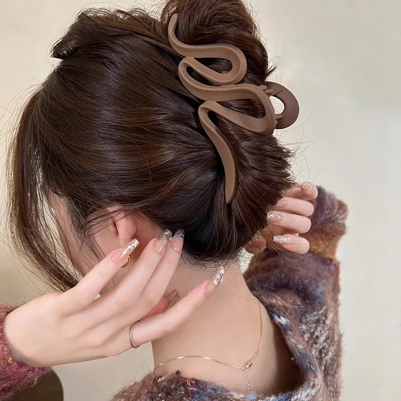 ZANC Acrylic Hair Clips Women's-2