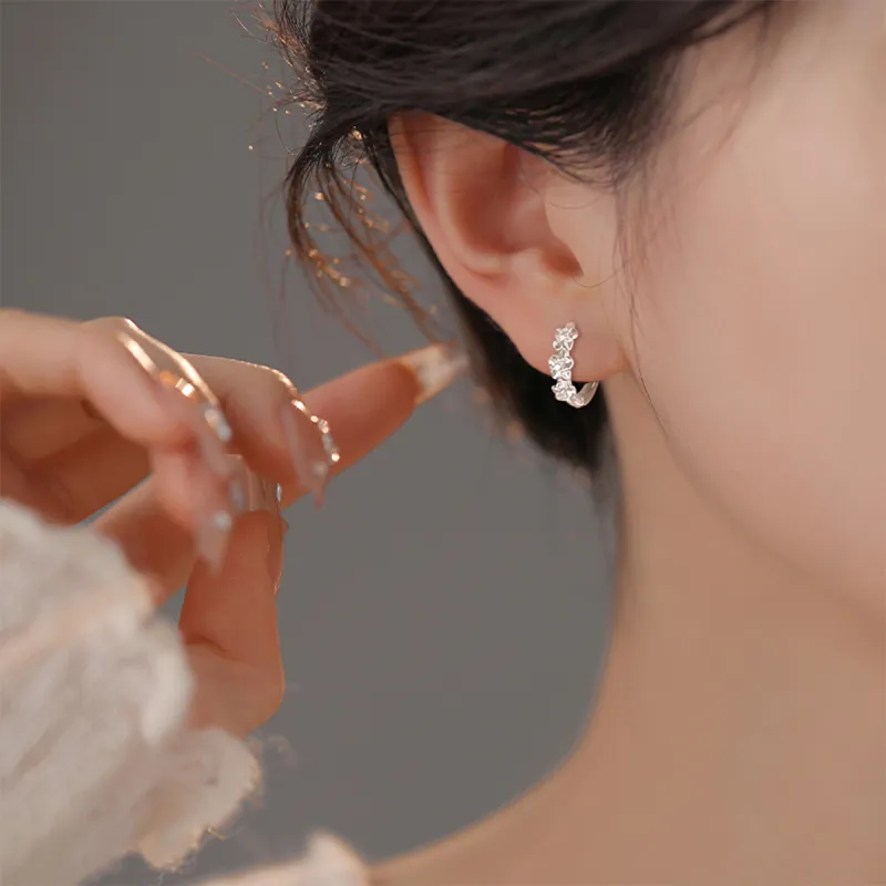 ZANC S925 Silver Earrings Women's-4