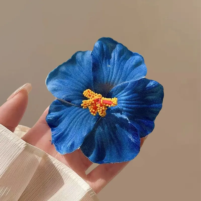 ZANC Plastic Hair Clips Women's-1