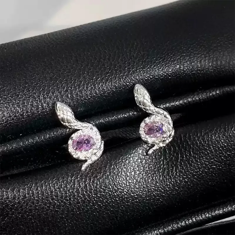 ZANC Titanium Steel Stud Earrings Women's-2