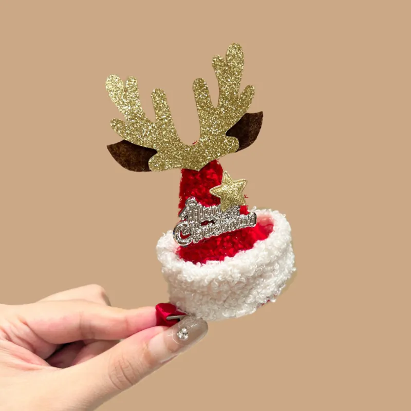 ZANC Hair Clips Women's-4