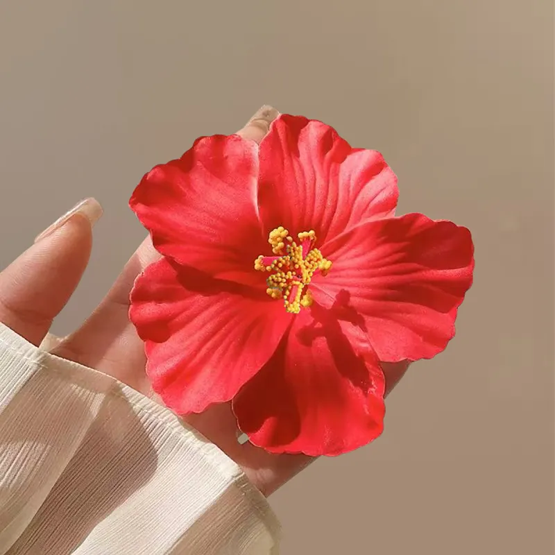 ZANC Plastic Hair Clips Women's-7