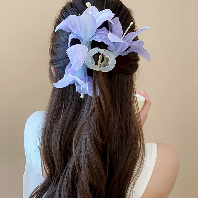 ZANC Acrylic Hair Clips Women's-11