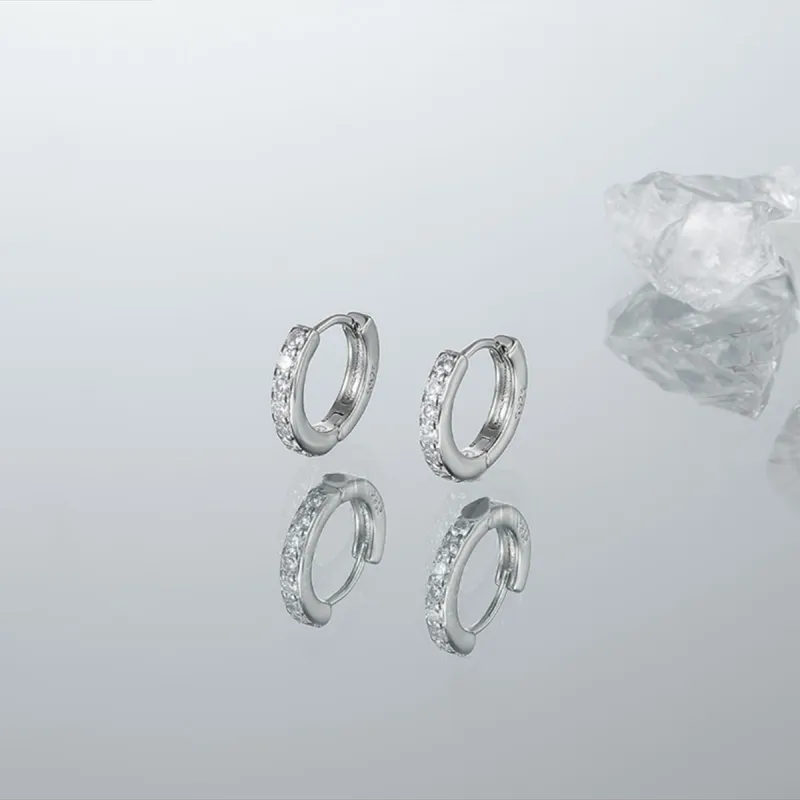 ZANC S925 Silver Stud Earrings Women's-5