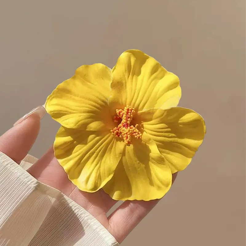 ZANC Plastic Hair Clips Women's-4