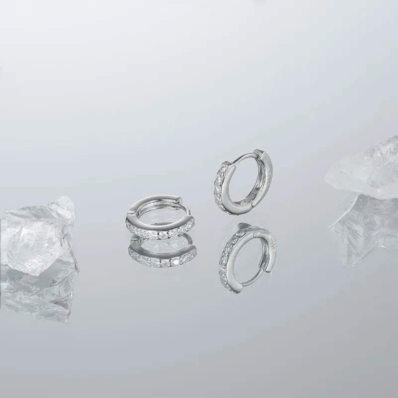 ZANC S925 Silver Stud Earrings Women's-7