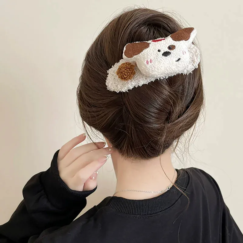 ZANC Hair Clips Women's-15