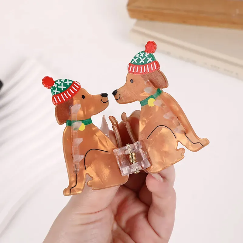 ZANC Acrylic Hair Clips Women's-3