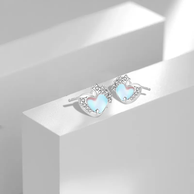 Jingleo S925 Silver Stud Earrings Women's-1