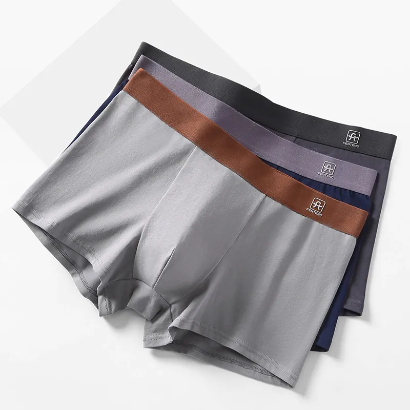 FENTENG Underpants Men's 3 Pack-3