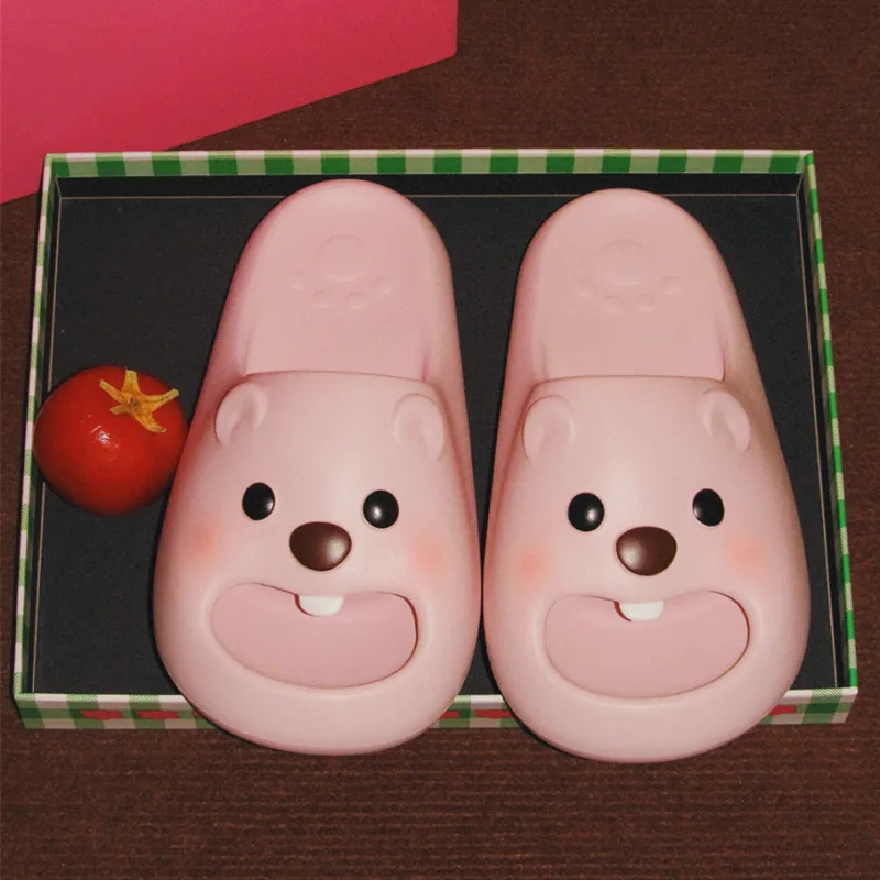 Thin strips Slippers / Home Slippers-2