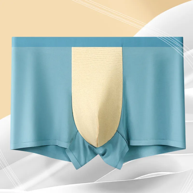 BEAR UNION Underpants Men's Box 3 Pack 4 Pack-6
