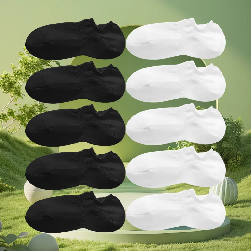 BEAR UNION No Show Socks Unisex 10 Pack-1