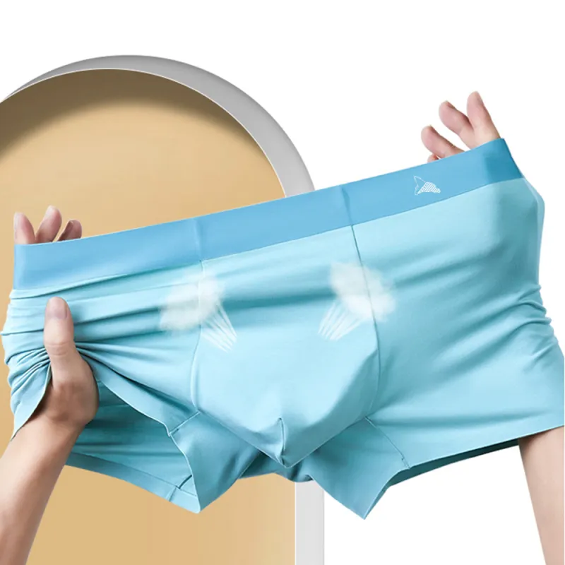 BEAR UNION Underpants Men's Box 3 Pack 4 Pack-19