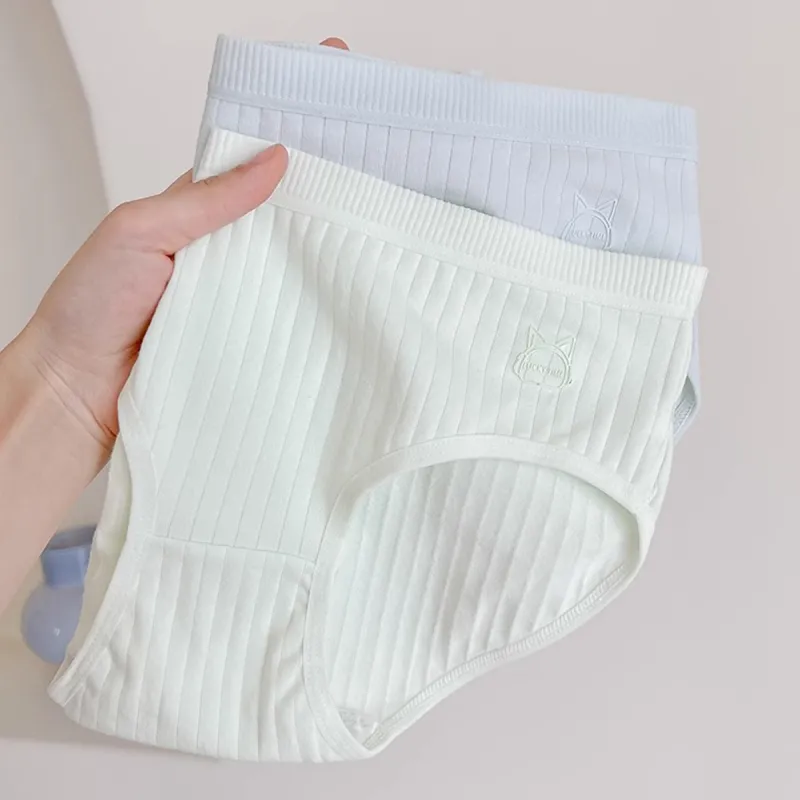 Cotton Shopping Underpants Women's 5 Pack-4