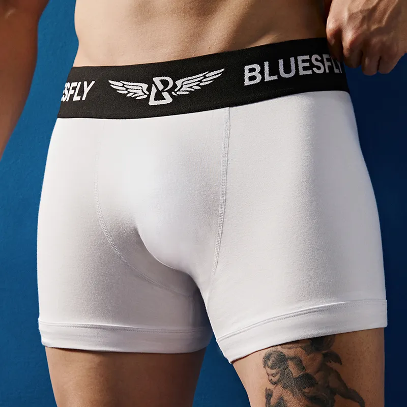 BLUESFLY Underpants Men's Combo Set-7