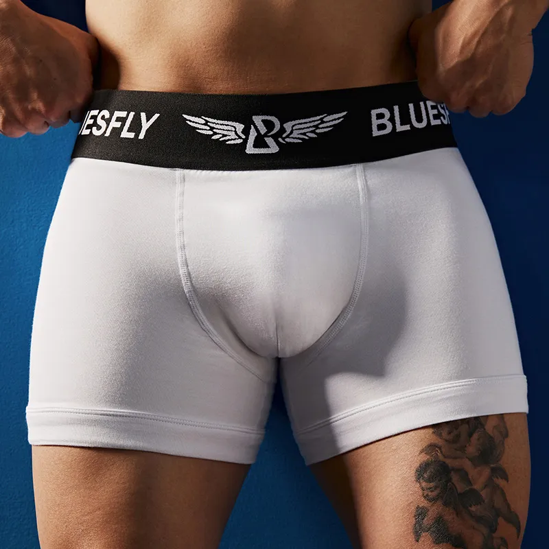 BLUESFLY Underpants Men's Combo Set-9