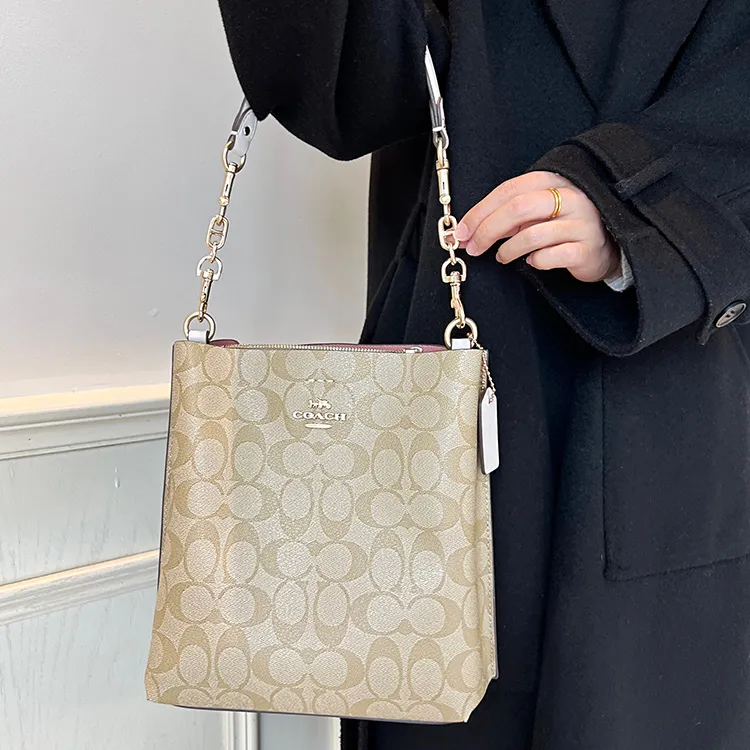 Luxury Care Artisan Workshop Metal Alloys Bag Shoulder Strap Women's White/Gold Tone-9