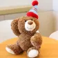 Birthday Bear+Chocolates+Happy Birthday Greeting+Shopping Bag
