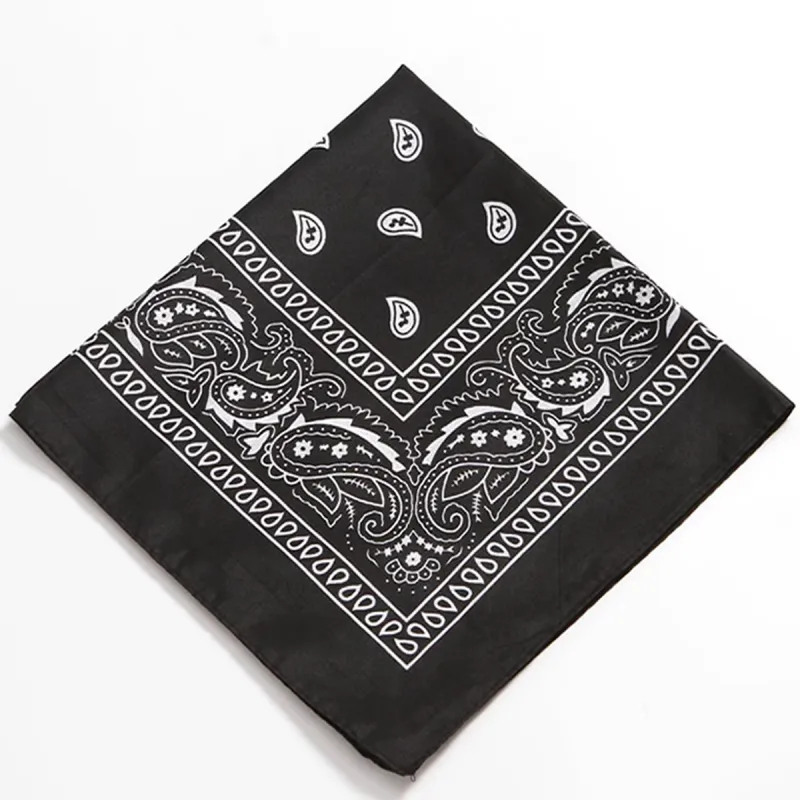 SFER Hair Bands Unisex-1