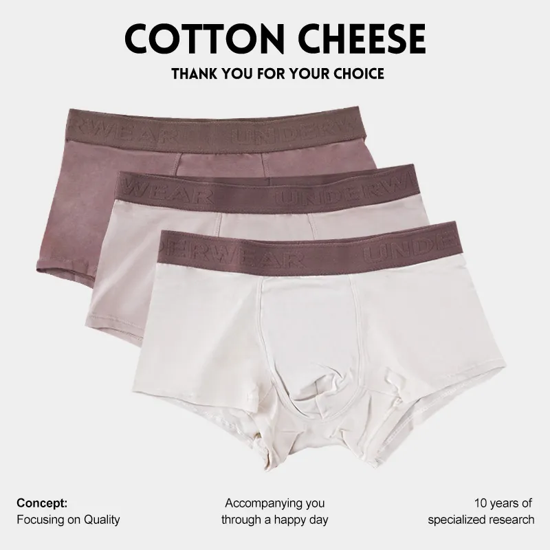 COTTON CHEESE Underpants Men's 3 Pack-2