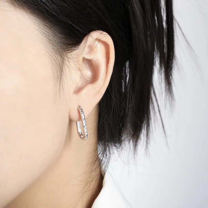 KiNGZiT S925 Silver Earrings Women's-1