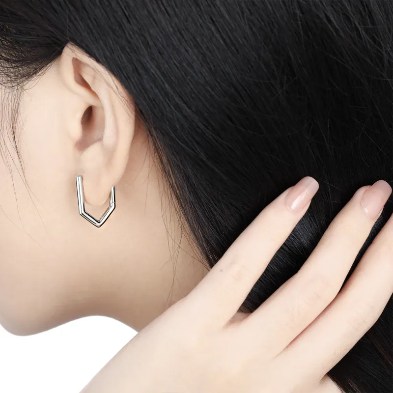 KiNGZiT S925 Silver Earrings Women's-2