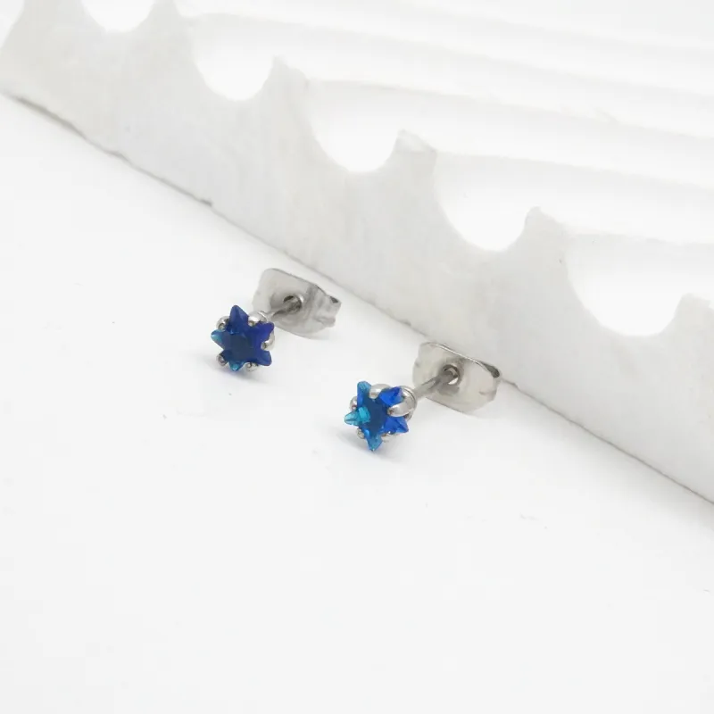 VERENA REINE Titanium Steel Stud Earrings Unisex-10