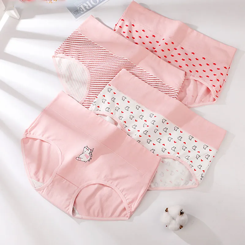 Lanza Underpants Women's 4 Pack Pink Cat-1