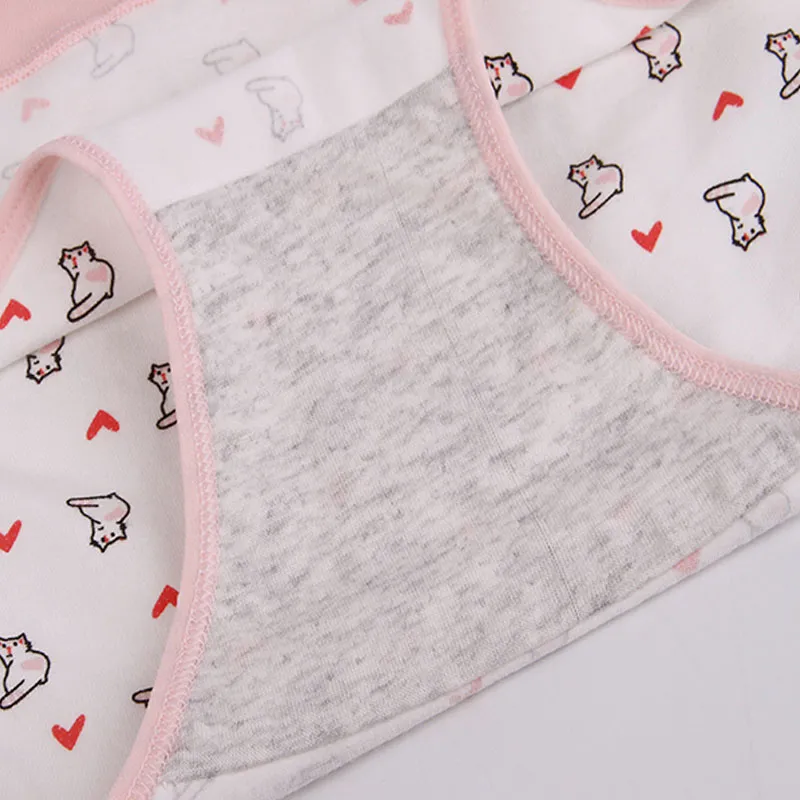 Lanza Underpants Women's 4 Pack Pink Cat-3