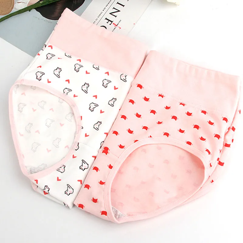 Lanza Underpants Women's 4 Pack Pink Cat-2
