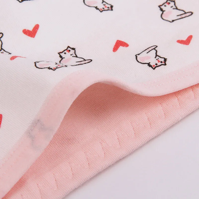 Lanza Underpants Women's 4 Pack Pink Cat-4
