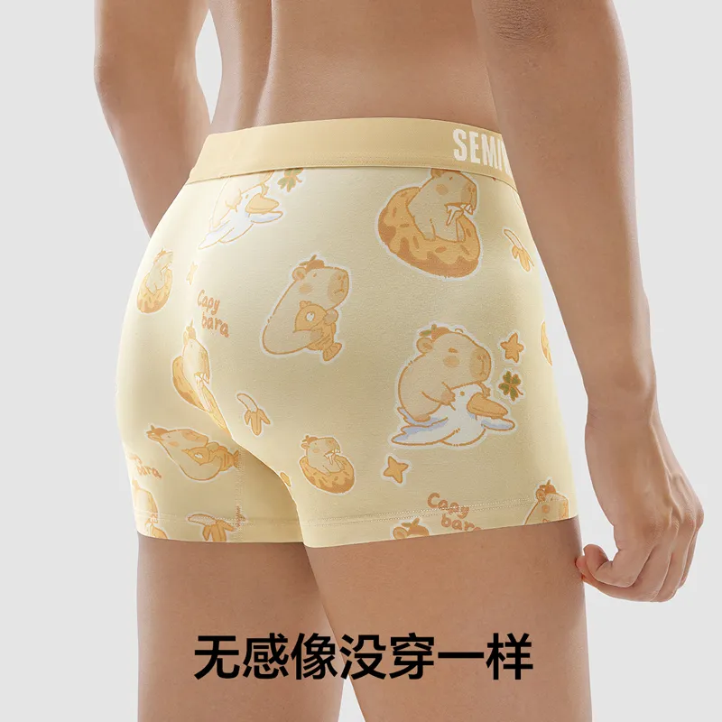 SEM/R Underpants Men's Combo Set-3