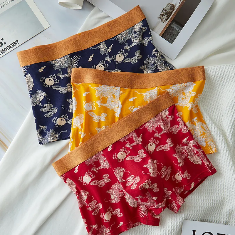 Yalu Underpants Men's Shopping Bag Combo Set-6
