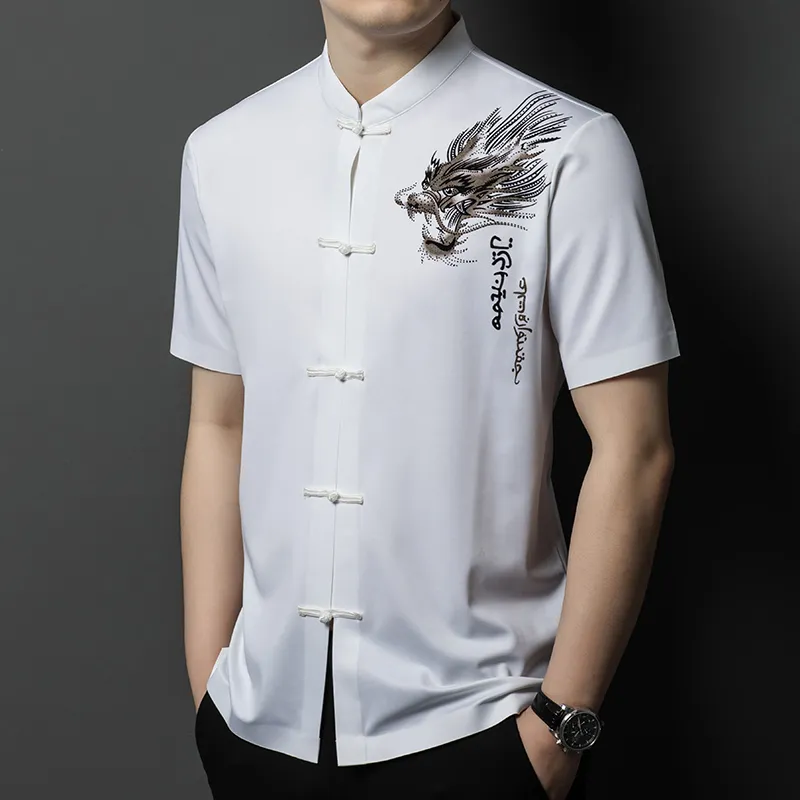 PIERRE CARDIN Shirts Men-2