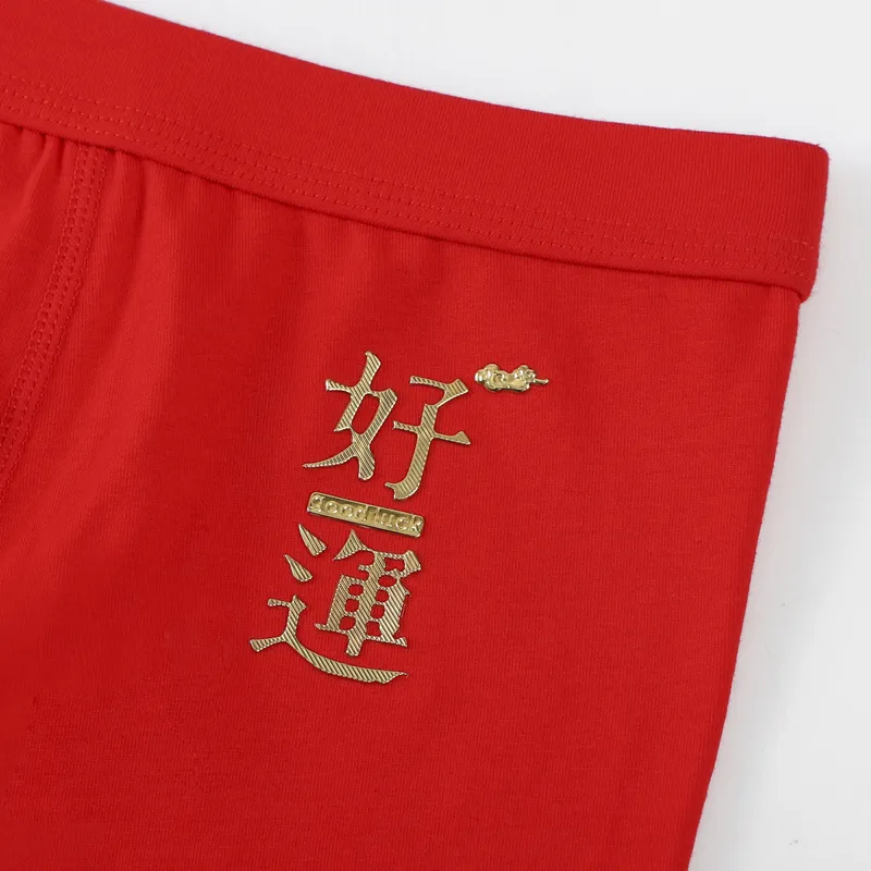 Cotton Gene Underpants Men's Combo Set-10