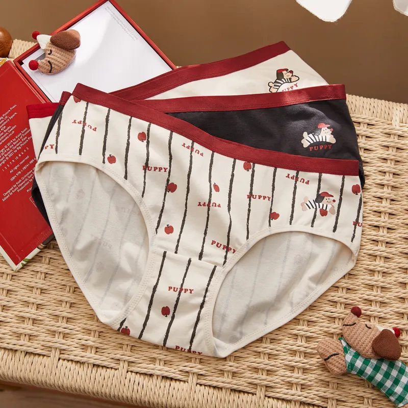 GUKOO Underpants Women's 3 Pack-3