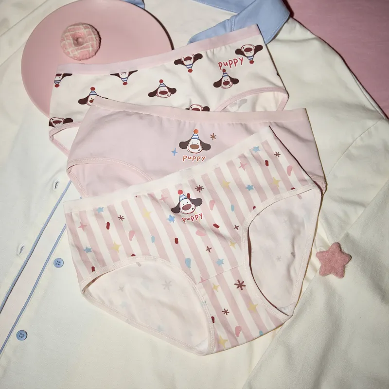 GUKOO Underpants Women's 3 Pack-4