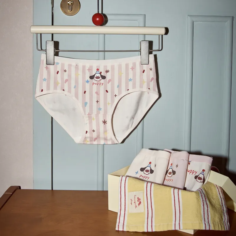 GUKOO Underpants Women's 3 Pack-3