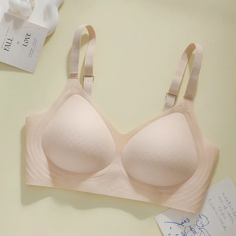 David Women's Bras-11