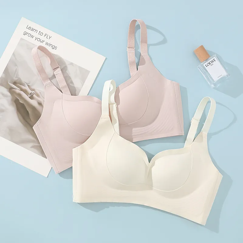 David Women's Bras-7
