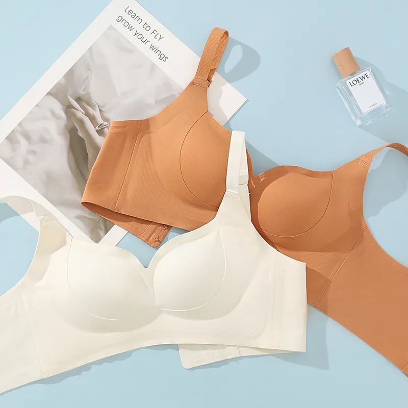 David Women's Bras-12