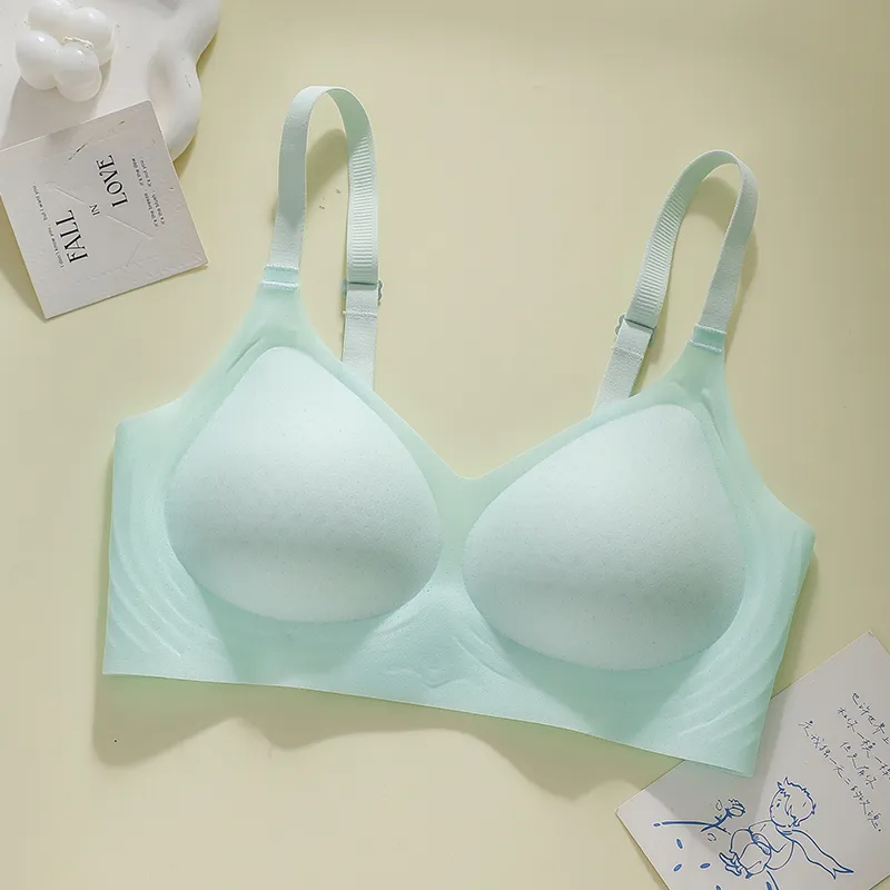David Women's Bras-28