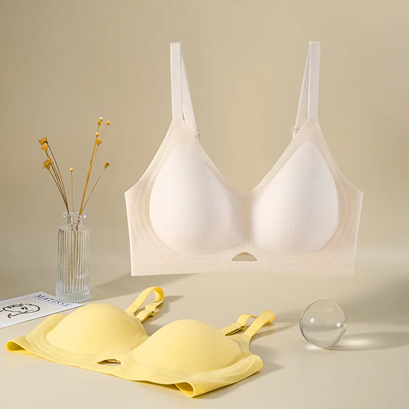David Women's Bras-4